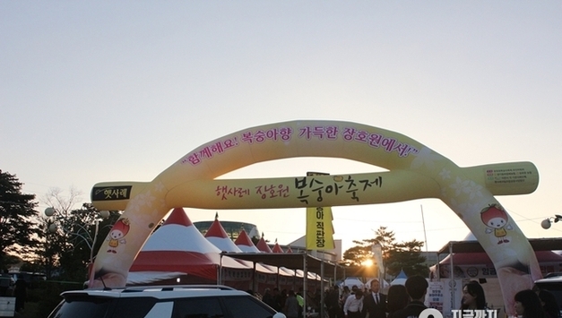 제27회 햇사레 장호원 복숭아축제 22일 개막