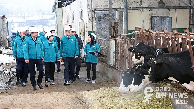 김보라 안성시장(가운데)이 피해 현장 시찰에 나섰다