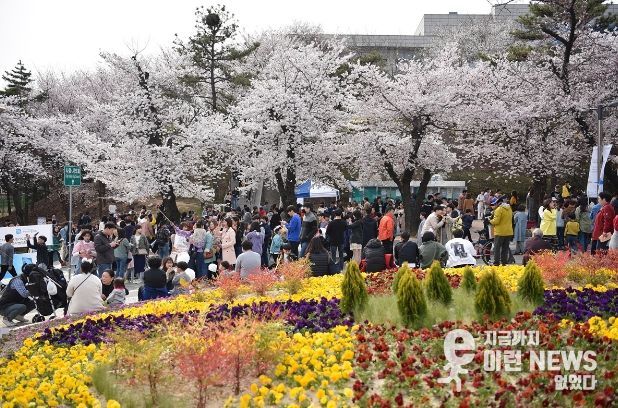 2019년 봄꽃축제