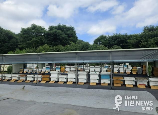 용인특례시 양봉 농가 사진