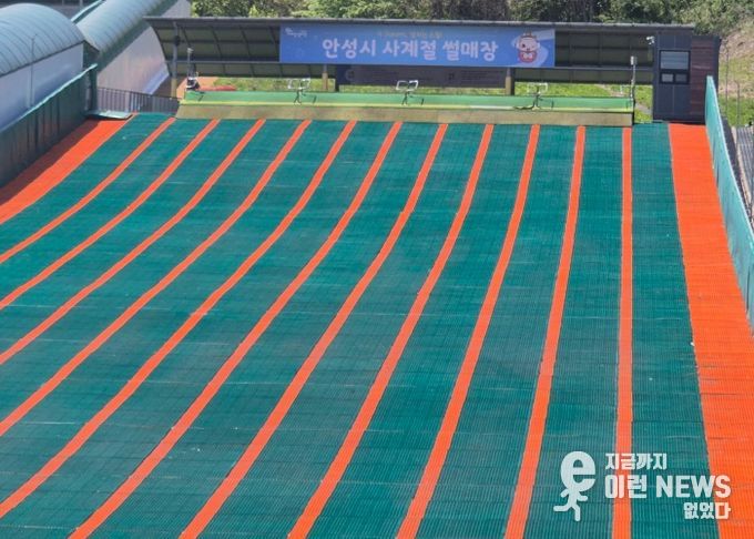 안성시 사계절썰매장 2025년 봄시즌 개장