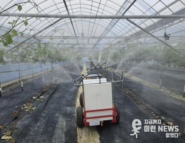 포도 농가에 보급된 '포도 과수원용 맞춤형 다목적 스마트 방제기