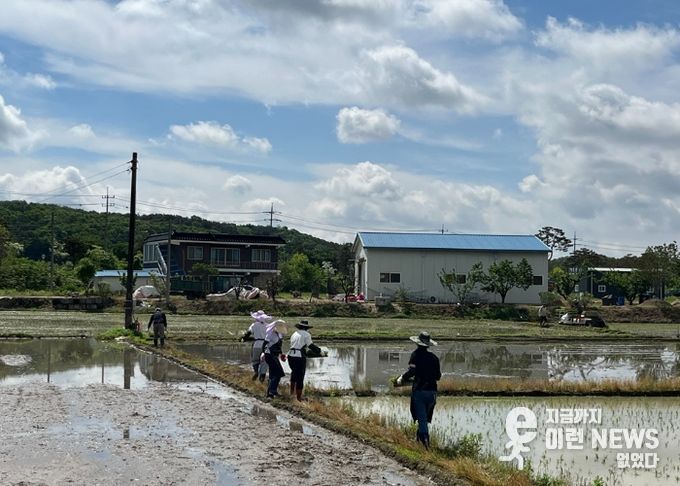 북내면, ‘손모아, 추수까지~’ 모내기 행사