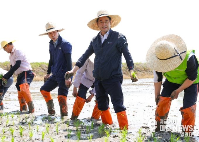 손 모내기를 하고 있는 이동환 고양특례시장