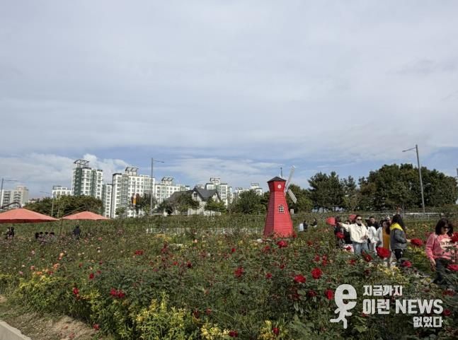 2025년 양주나리농원 가을 개장 성황리 종료