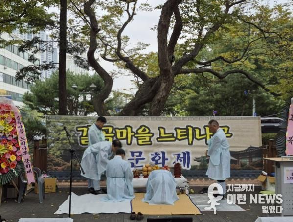 용인특례시 갈곡마을 느티나무 문화제