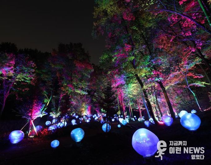 형형색색의 복사꽃 씨앗이 빛나는 도화씨 구간 전경