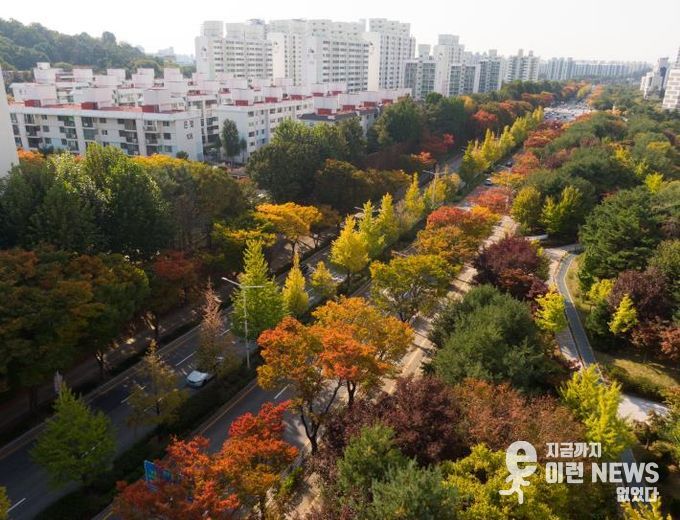 '평택시 국도1호선 가로숲길' 녹색도시 우수사례 '우수상' 수상