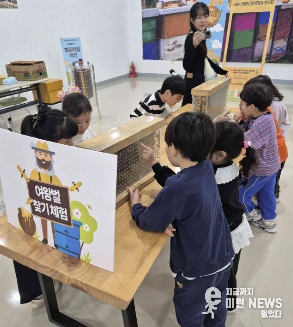 시흥시 '제2회 양봉산업 체험·전시회'서 꿀벌의 가치 시민과 나눠