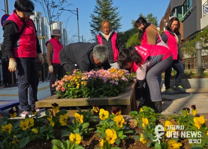화성특례시 동탄3동 주민들이 청사 및 도로변에 비올라를 식재하고 있다