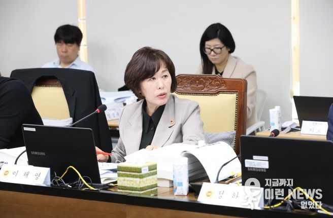 경기도의회 경제노동위원회 이채영 의원(국민의힘, 비례)