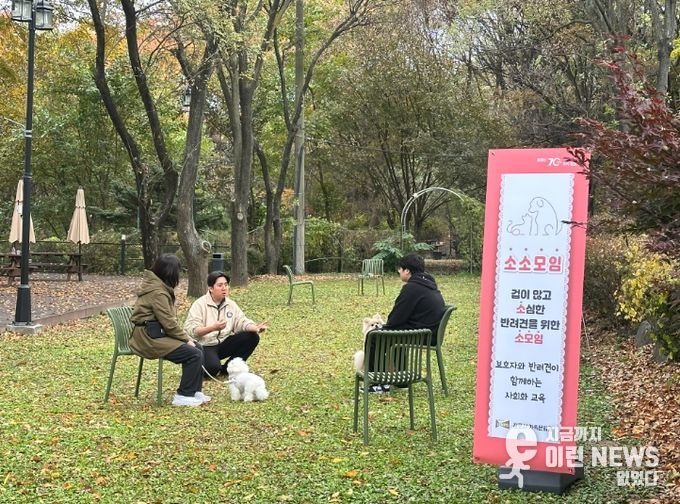 반려견 사회화 교육