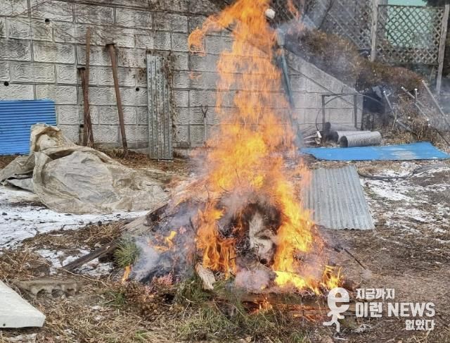 의왕시, 동절기 폐기물 불법소각 근절을 위한 특별단속 추진