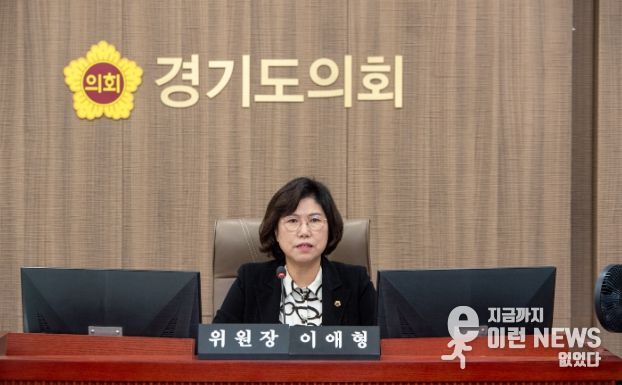 경기도의회 이애형 의원