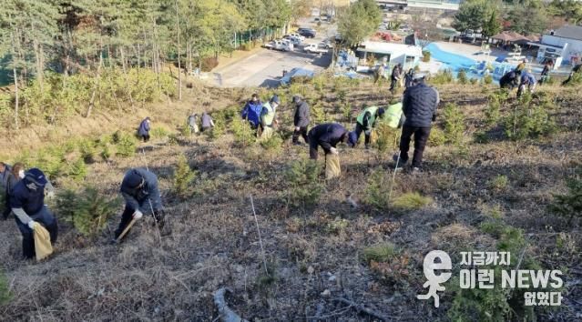 18일 안산시 백운공원에서 열린 비료시비 행사에서 참여자들이 고형복합비료 시비 활동을 진행하고 있다.