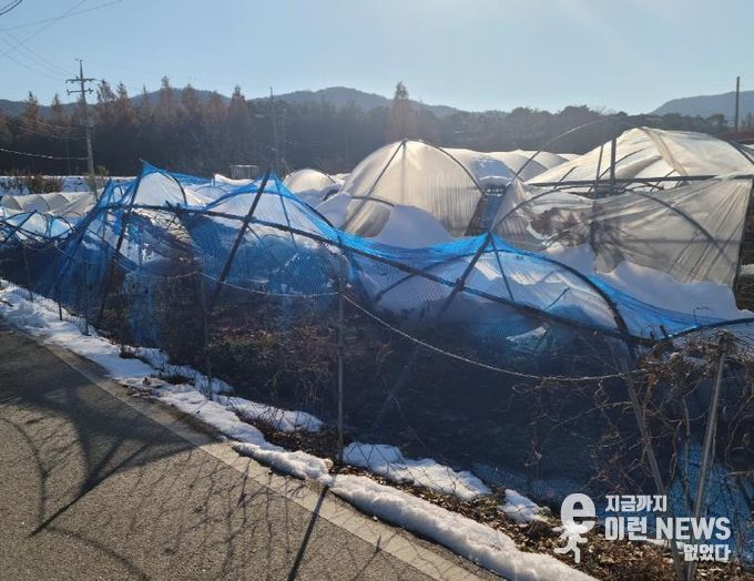 안성시, 올겨울 대설 대비, 차광·방조망 정리로 피해 예방하세요