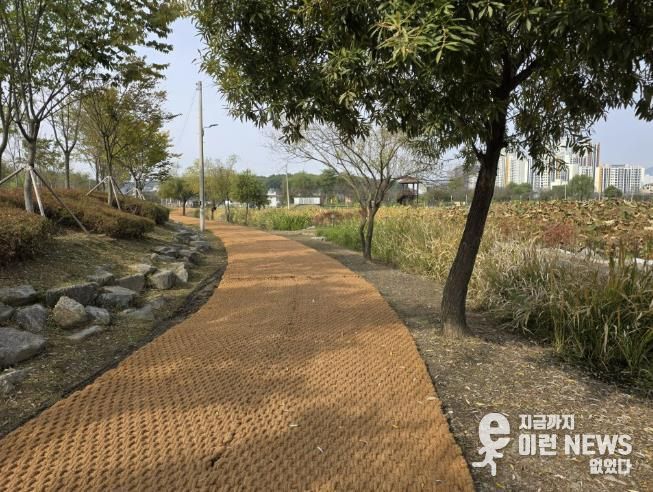 의왕 왕송호수공원, 편안히 쉬고 걸을 수 있는 공원으로 정비