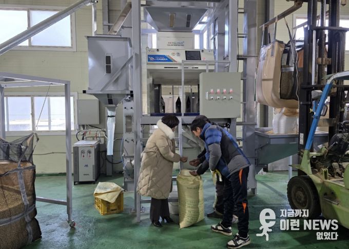 고품질 경기콩, 색채선별기로 품질과 효율 ‘두 마리 토끼’ 잡다