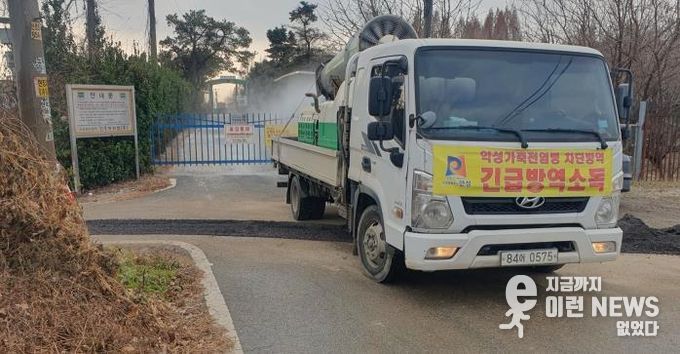 안성시 산란계농장 고병원성AI 의심축 발생