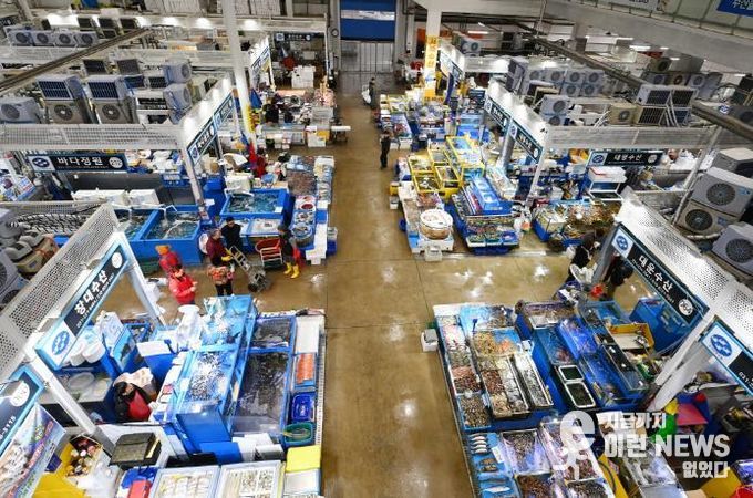 수원시농수산물도매시장 수산동 전경