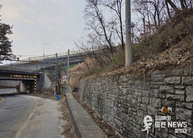 남양주시, 양정동 도심 가시박 제거로 생태환경 개선(제거 후)