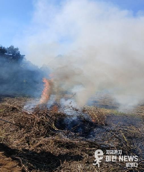 안성시, 농촌지역 산불․화재 예방 불법소각 집중단속 결과, 올해 81건 적발
