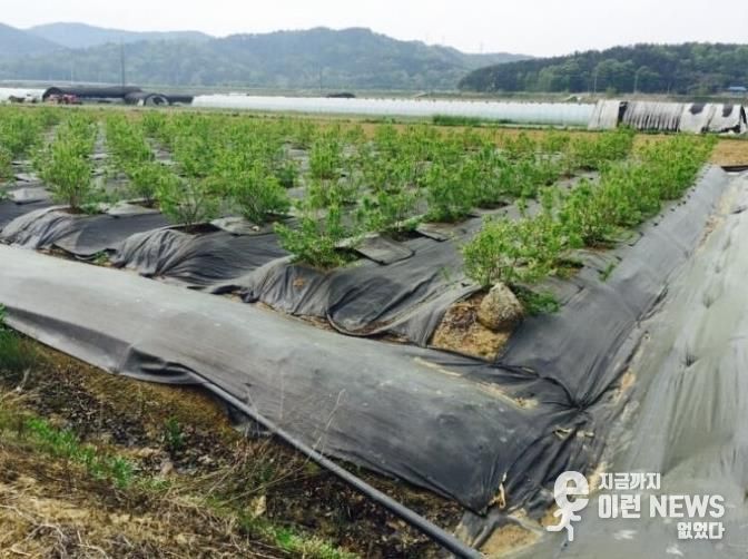 파주시, 2026년 환경친화형 농자재 지원사업 신청 시작