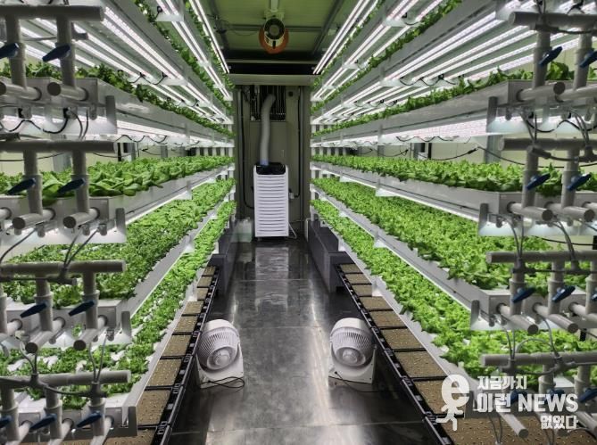 테이너형 수직농장 내부