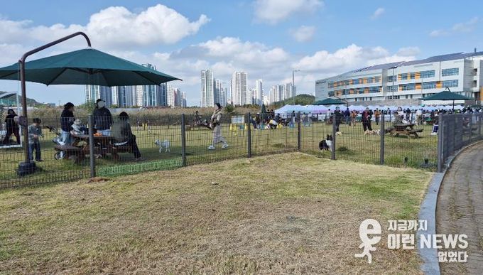 와스타디움 중앙광장 유휴부지에 조성된 반려견 놀이터에서 시민들이 반려견과 함께 시간을 보내고 있다. (사진=안산도시공사 제공)