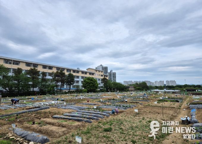 구리시, 「2026년 토평동 구리도시텃밭」운영