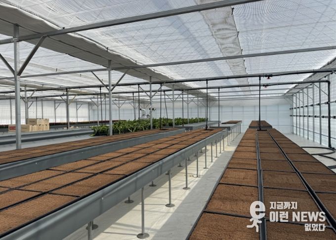 고양시, 고품질 선인장 육성 목적 ‘접목선인장 무병종묘장’ 조성