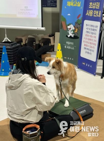 댕댕체육교실 중 독피트니스 프로그램을 진행하는 모습