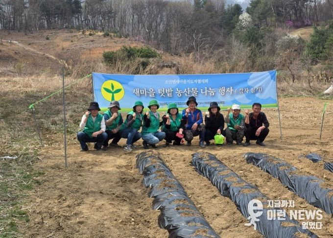 새마을지도자 남양주시 조안면협의회, ‘새마을 텃밭 감자심기’ 행사 실시