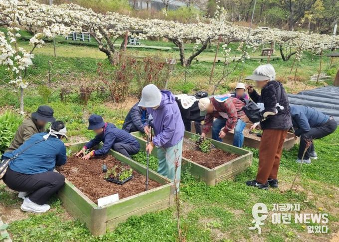 남양주시, 치유농업으로 ‘함께 행복한 고품격 복지’실현 나서