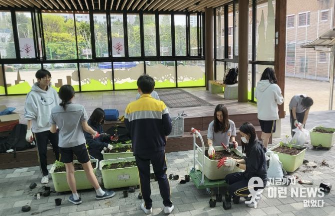 모종을 대형 화분에 옮겨 심는 학생들(화수중학교 생태환경동아리 활동)